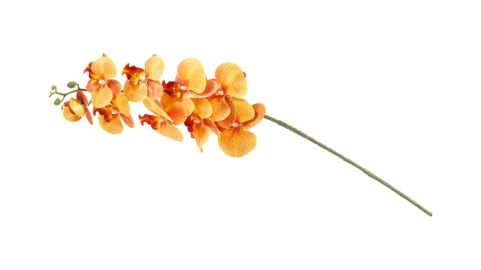 Цветок искусственный Moth Orchid 107 см цвет оранжевый, Moth Orchid 107 см цвет оранжевый
Цветок искусственный Moth Orchid 107 см цвет оранжевый, Moth Orchid 107 см цвет оранжевый