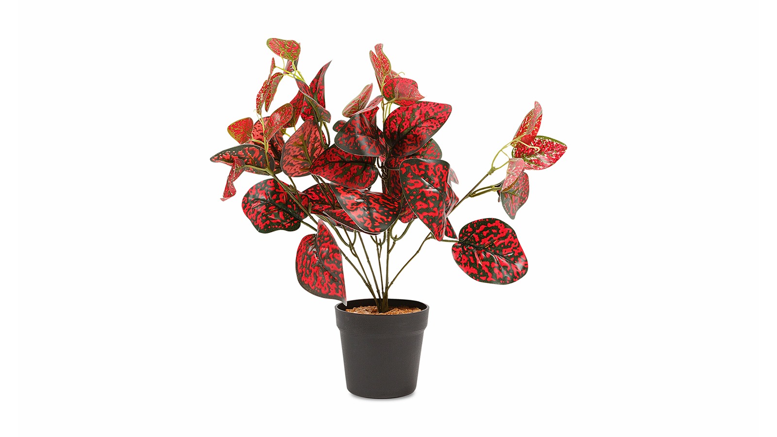 

Бонсай Allium 45 см, цвет красный, Allium 45 см, цвет красный