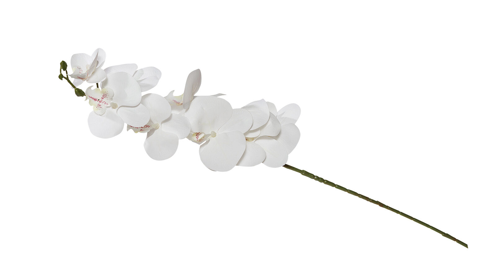 

Цветок искусственный Moth Orchid 107 см цвет белый, Moth Orchid 107 см цвет белый