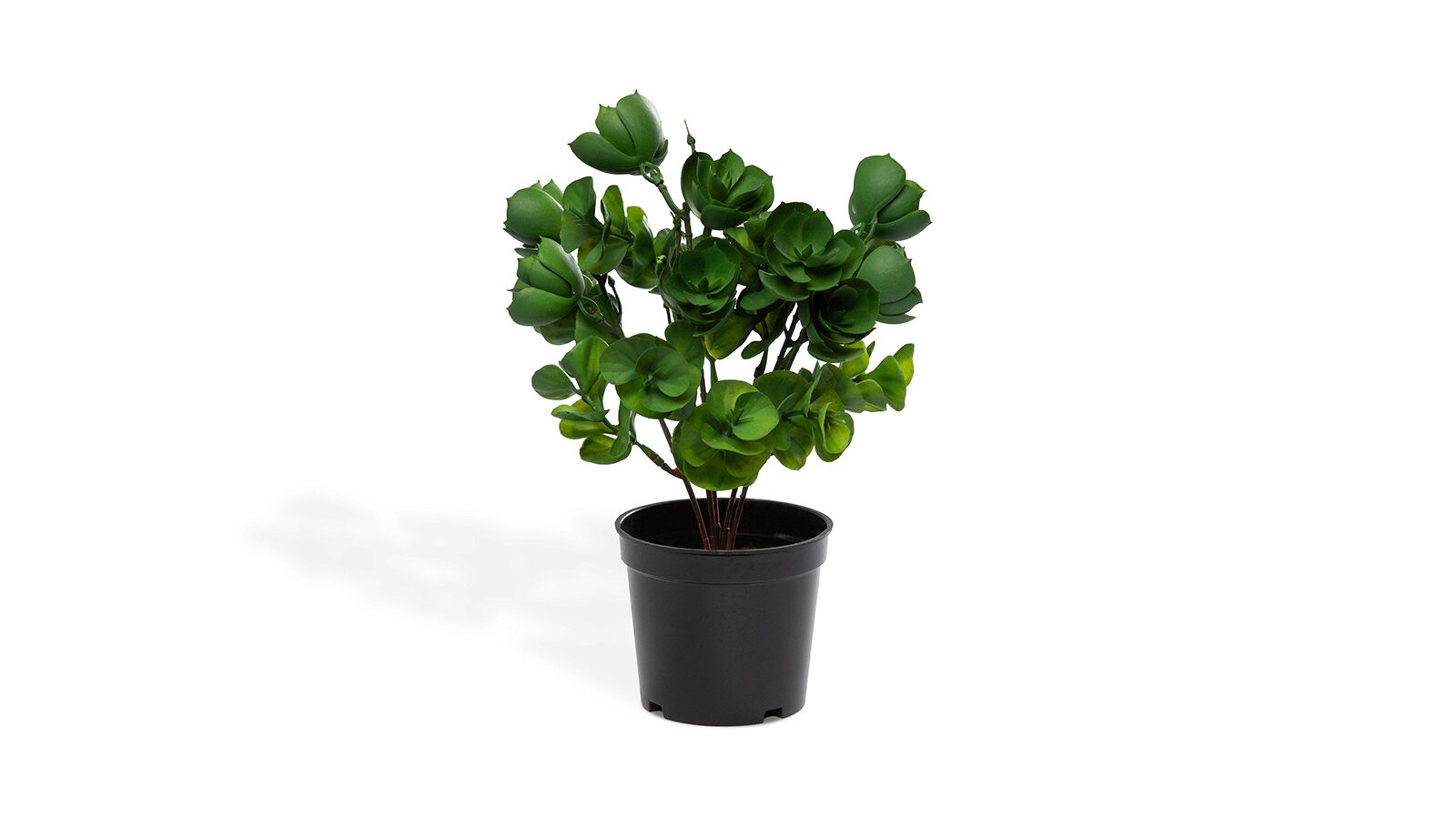 

Растение искусственное Houseleek, Houseleek