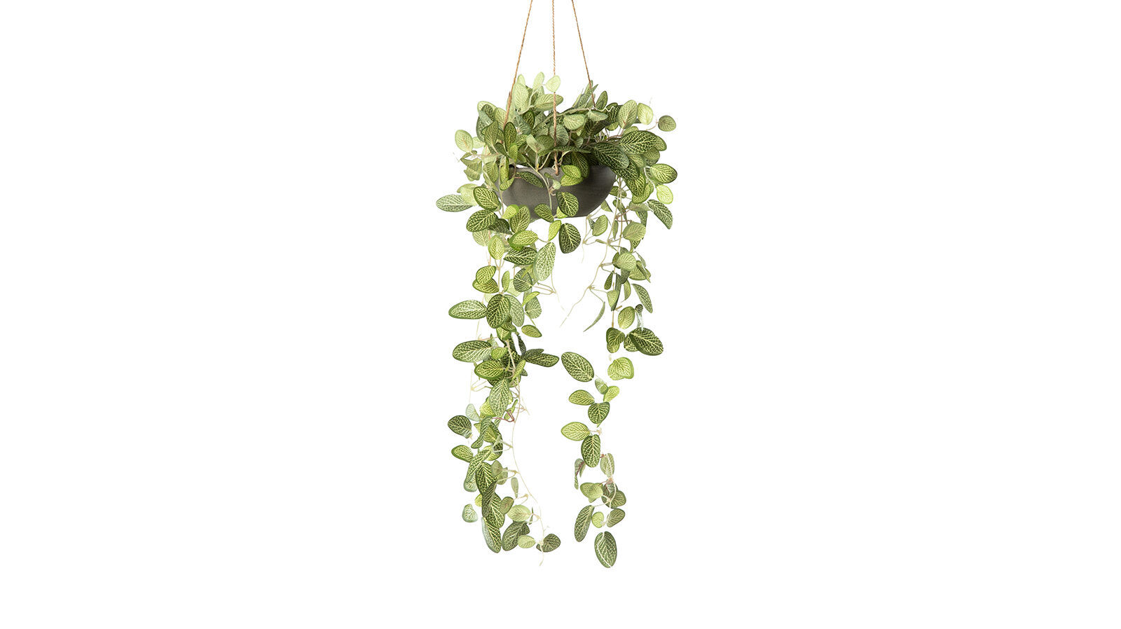 

Растение искусственное Olivine, Olivine