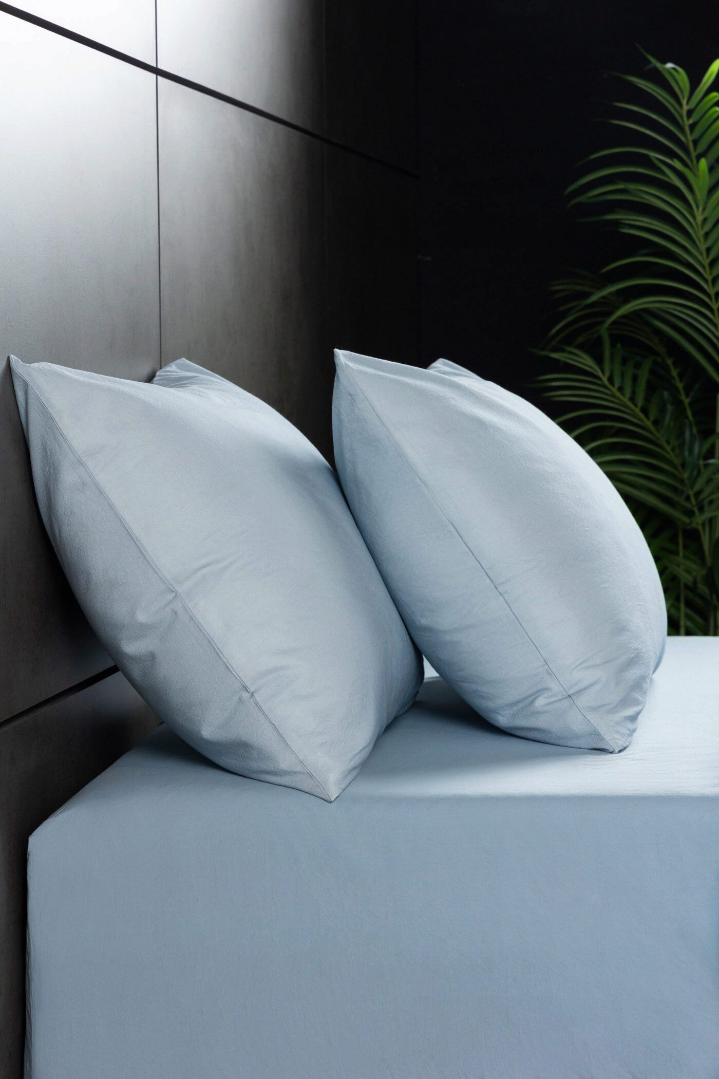 

Комплект постельного белья без простыни Organic Cotton (Органик Коттон) Голубой, Organic Cotton (Органик Коттон) Голубой